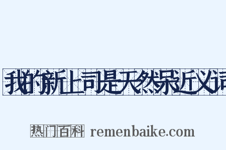 我的新上司是天然呆近义词是什么意思的图片